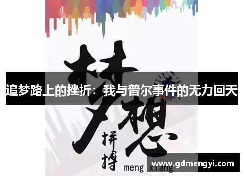 追梦路上的挫折：我与普尔事件的无力回天